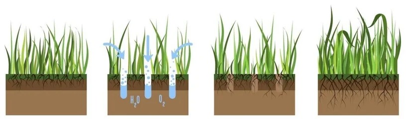 Illustratie van het beluchten van gras: zuurstof en water bereiken de wortels voor diepere wortelgroei