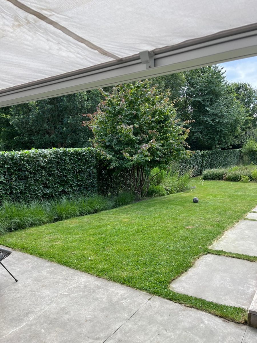 Border met boomschors en haag